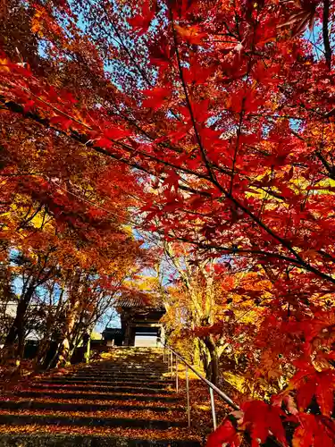安国寺(京都府)