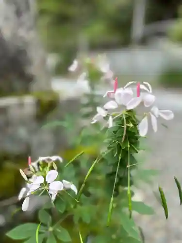 横峰寺(愛媛県)