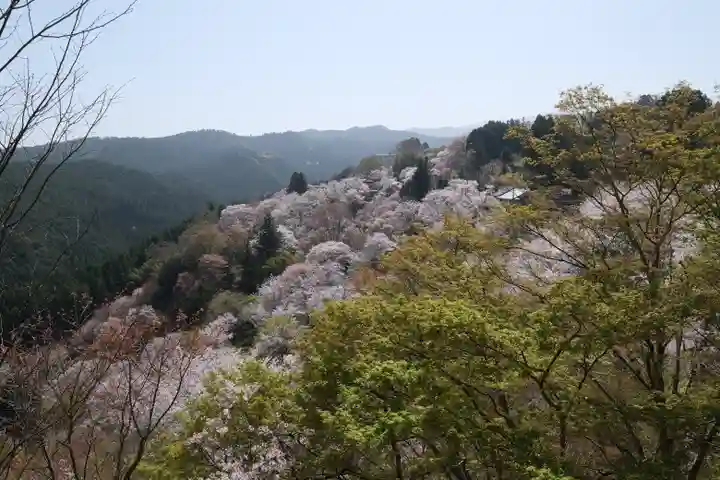 金峯山寺の景色