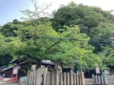 祇園神社(兵庫県)