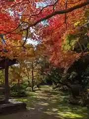 勝持寺（花の寺）(京都府)