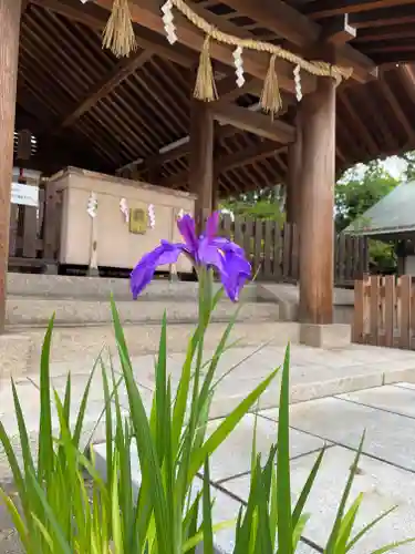 和泉國一之宮　大鳥大社の自然