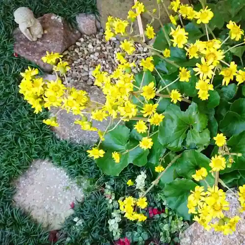 寿量山　速成寺のその他建物