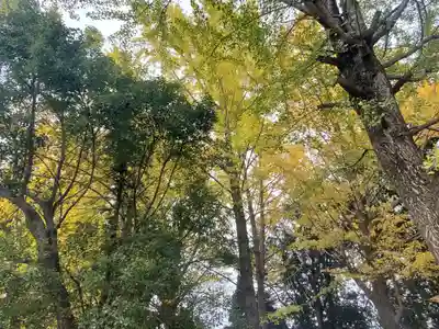 川北神社の自然