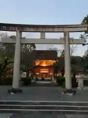 富士山本宮浅間大社の鳥居