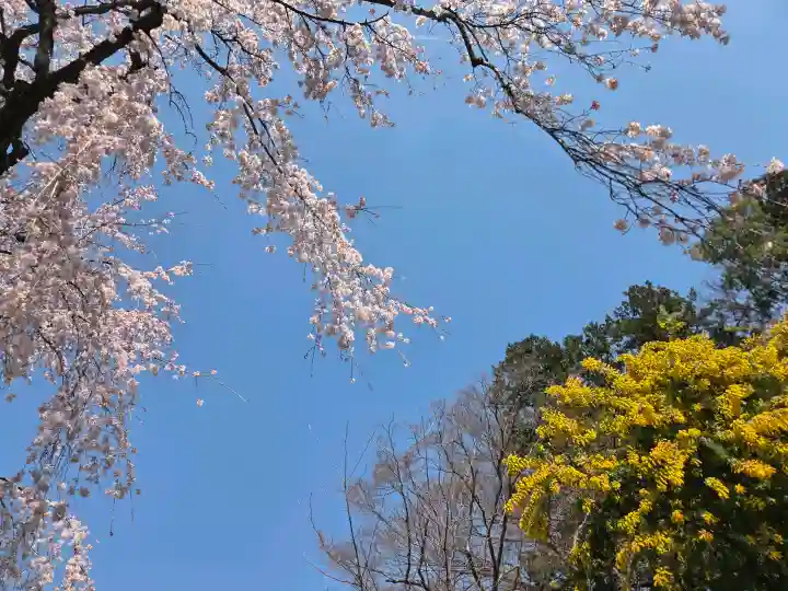 中院の{uncategorized: "未分類", other: "その他", undefined: "問題あり", building: "その他建物", grave: "お墓", sacred_gate: "鳥居", guardian: "狛犬", statue: "像", buddha: "仏像", history: "歴史", nature: "自然", garden: "庭園", animal: "動物", pagoda: "塔", temizu: "手水舎", mountain_gate: "山門・神門", sanctuary: "本殿・本堂", subordinate: "末社・摂社", art: "芸術", scenery: "景色", jizo: "地蔵", ema: "絵馬", goshuin: "御朱印", omikuji: "おみくじ", items: "授与品その他", amulet: "お守り", goshuincho: "御朱印帳", eats: "食事", festival: "お祭り", votive_dance: "神楽", shichigosan: "七五三参", wedding: "結婚式", experience: "体験その他", initially: "初詣", around: "周辺", anti_infection: "感染症対策"}