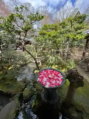 法然院(京都府)