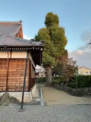 河野西入坊の庭園