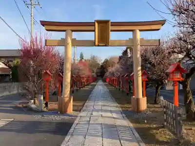 朝日森天満宮の鳥居