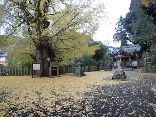 素盞雄神社のその他建物