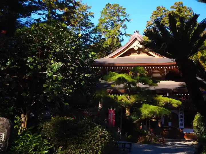 目の霊山 油山寺の本殿・本堂