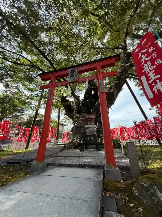 秩父今宮神社(埼玉県)