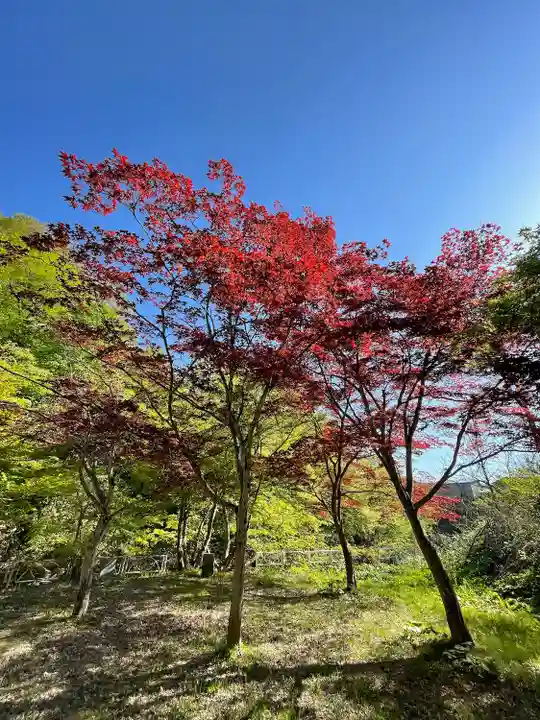 中野神社(青森県)
