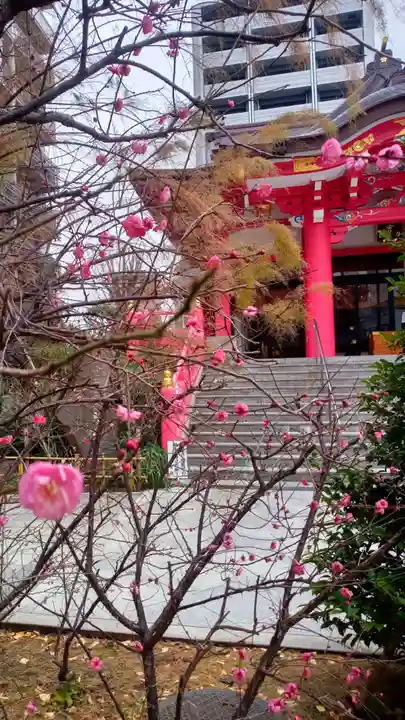 成子天神社の自然