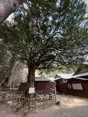 小國神社(静岡県)