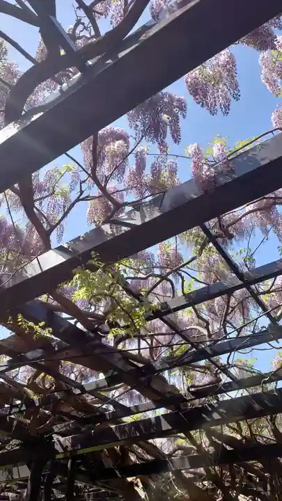 相馬神社(北海道)