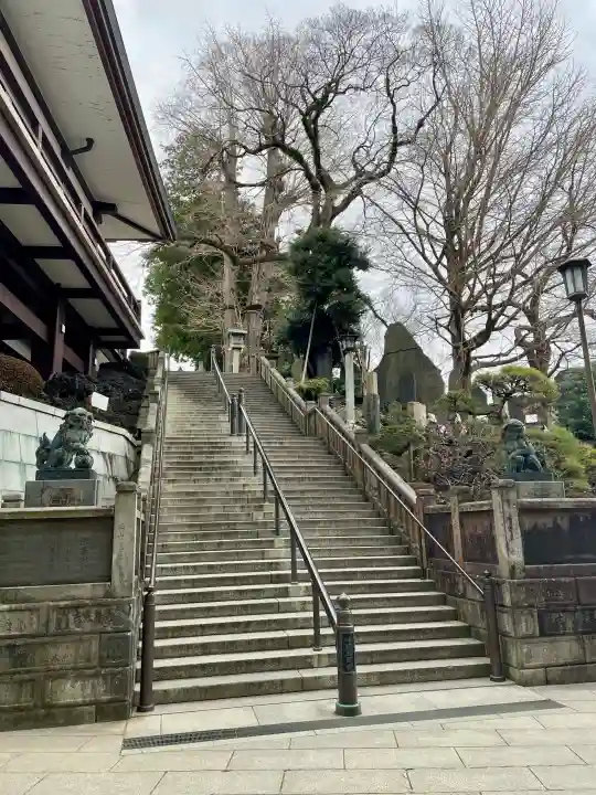 成田山新勝寺の{uncategorized: "未分類", other: "その他", undefined: "問題あり", building: "その他建物", grave: "お墓", sacred_gate: "鳥居", guardian: "狛犬", statue: "像", buddha: "仏像", history: "歴史", nature: "自然", garden: "庭園", animal: "動物", pagoda: "塔", temizu: "手水舎", mountain_gate: "山門・神門", sanctuary: "本殿・本堂", subordinate: "末社・摂社", art: "芸術", scenery: "景色", jizo: "地蔵", ema: "絵馬", goshuin: "御朱印", omikuji: "おみくじ", items: "授与品その他", amulet: "お守り", goshuincho: "御朱印帳", eats: "食事", festival: "お祭り", votive_dance: "神楽", shichigosan: "七五三参", wedding: "結婚式", experience: "体験その他", initially: "初詣", around: "周辺", anti_infection: "感染症対策"}