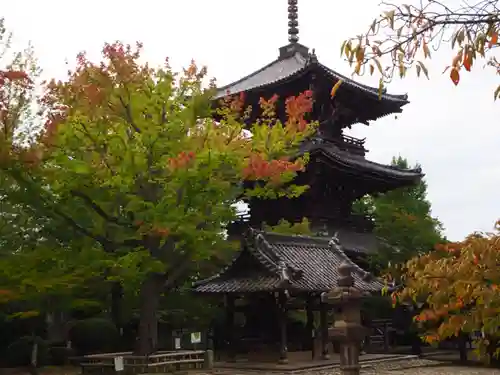 真正極楽寺（真如堂）の塔