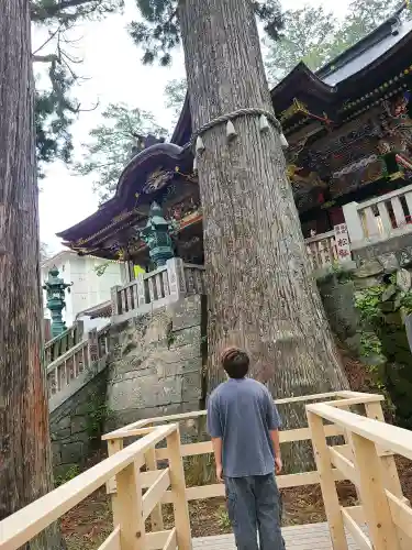 三峯神社の{uncategorized: "未分類", other: "その他", undefined: "問題あり", building: "その他建物", grave: "お墓", sacred_gate: "鳥居", guardian: "狛犬", statue: "像", buddha: "仏像", history: "歴史", nature: "自然", garden: "庭園", animal: "動物", pagoda: "塔", temizu: "手水舎", mountain_gate: "山門・神門", sanctuary: "本殿・本堂", subordinate: "末社・摂社", art: "芸術", scenery: "景色", jizo: "地蔵", ema: "絵馬", goshuin: "御朱印", omikuji: "おみくじ", items: "授与品その他", amulet: "お守り", goshuincho: "御朱印帳", eats: "食事", festival: "お祭り", votive_dance: "神楽", shichigosan: "七五三参", wedding: "結婚式", experience: "体験その他", initially: "初詣", around: "周辺", anti_infection: "感染症対策"}