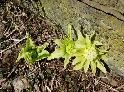 恵庭神社(北海道)