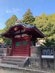 随願寺のお墓