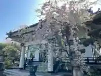 行善寺の本殿・本堂