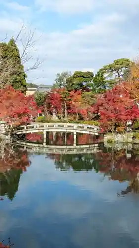 禅林寺（永観堂）(京都府)