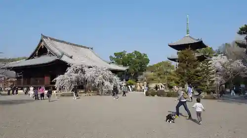 道成寺のその他建物