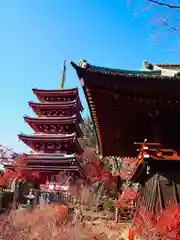 本土寺(千葉県)