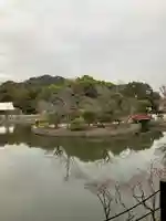 鶴岡八幡宮の庭園