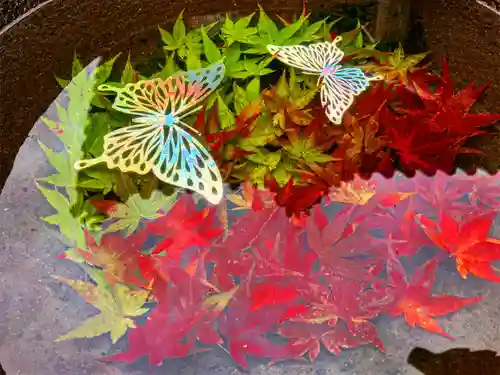 真言宗　善通寺派　薬王寺の手水舎