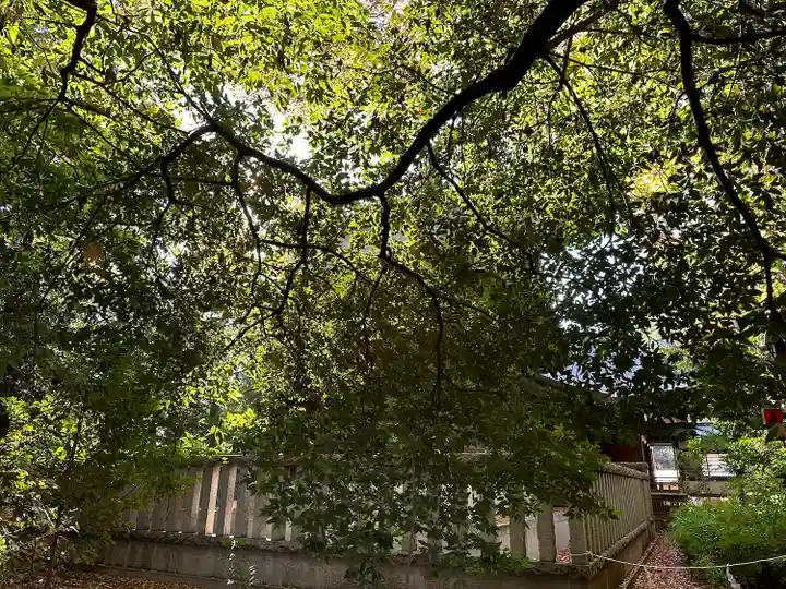 布多天神社の塔