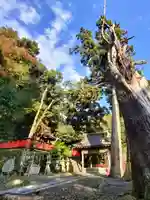 請田神社(京都府)