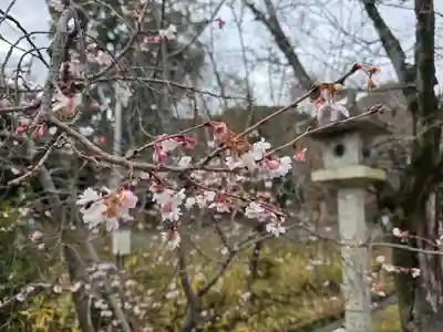 松尾大社(京都府)