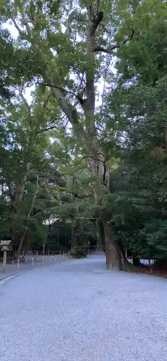 伊勢神宮内宮(皇大神宮)の自然