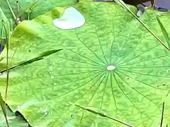 倶梨迦羅神社(長野県)