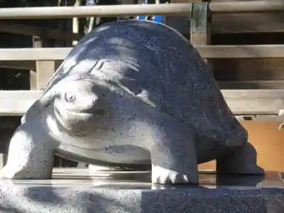 亀岡八幡宮（亀岡八幡神社）の狛犬