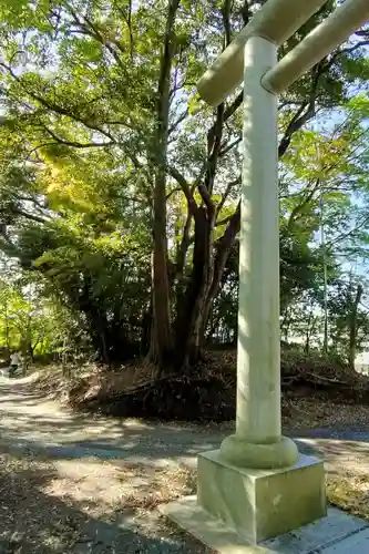 諏訪八幡神社の庭園