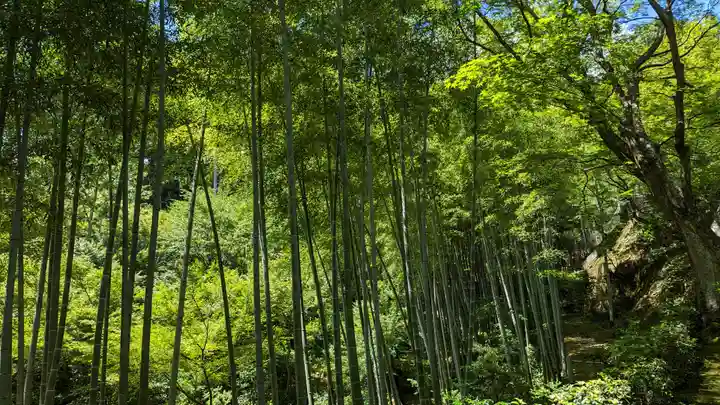 常寂光寺(京都府)
