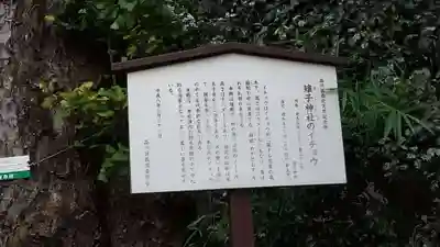 雉子神社(東京都)