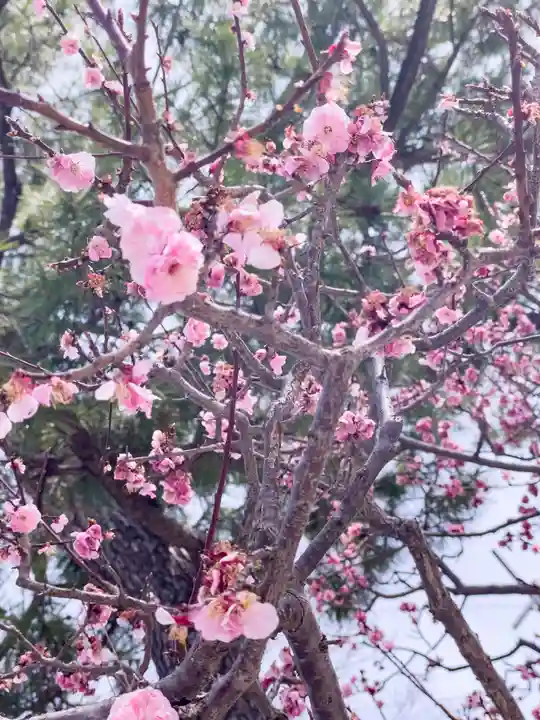 住吉大社の自然