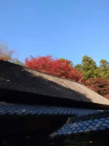 教林坊のその他建物