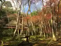 祇王寺のその他建物