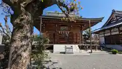 善正寺(京都府)