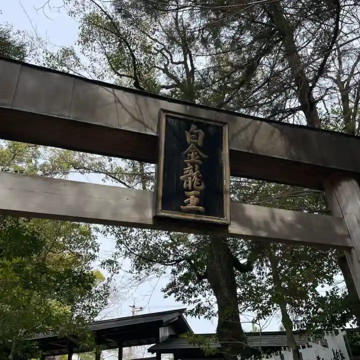 白金龍王社の{uncategorized: "未分類", other: "その他", undefined: "問題あり", building: "その他建物", grave: "お墓", sacred_gate: "鳥居", guardian: "狛犬", statue: "像", buddha: "仏像", history: "歴史", nature: "自然", garden: "庭園", animal: "動物", pagoda: "塔", temizu: "手水舎", mountain_gate: "山門・神門", sanctuary: "本殿・本堂", subordinate: "末社・摂社", art: "芸術", scenery: "景色", jizo: "地蔵", ema: "絵馬", goshuin: "御朱印", omikuji: "おみくじ", items: "授与品その他", amulet: "お守り", goshuincho: "御朱印帳", eats: "食事", festival: "お祭り", votive_dance: "神楽", shichigosan: "七五三参", wedding: "結婚式", experience: "体験その他", initially: "初詣", around: "周辺", anti_infection: "感染症対策"}