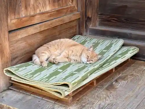 間々田八幡宮の動物