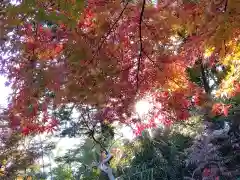 足羽神社(福井県)