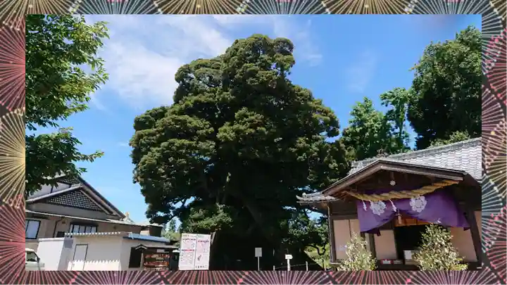 九重神社(埼玉県)