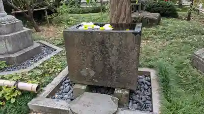 常立寺の手水舎