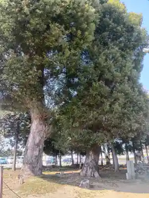 八王子社(愛知県)